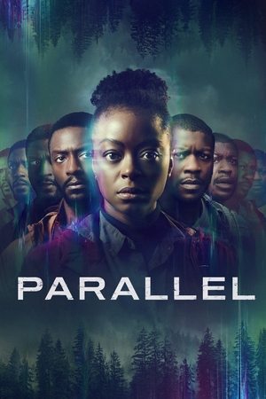 Parallel poszter
