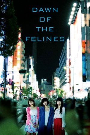 Dawn of the Felines poszter