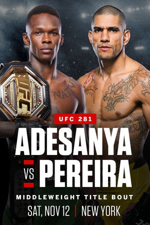 UFC 281: Adesanya vs. Pereira poszter