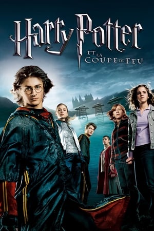 Harry Potter és a tűz serlege poszter