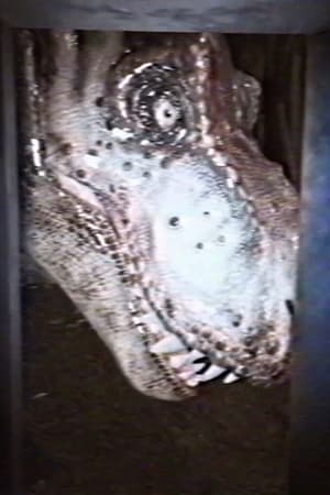Jurassic Park - Found Footage: Outpost B poszter