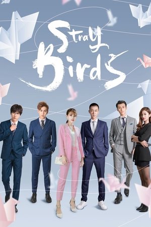 Stray Birds poszter