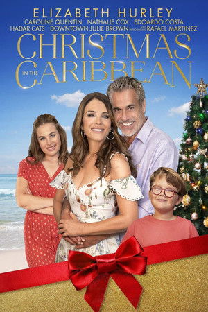 Christmas in the Caribbean poszter