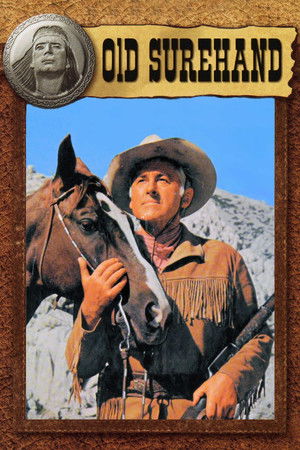 Winnetou bosszúja poszter