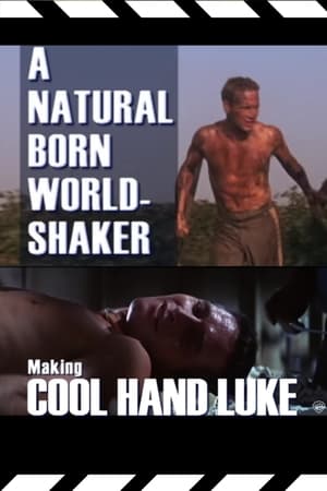 A Natural Born World-Shaker: The Making of 'Cool Hand Luke'