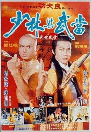 Shao Lin yu Wu Dang poszter
