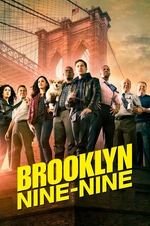 Brooklyn 99 - Nemszázas körzet poszter