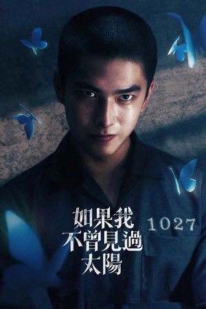 如果我不曾見過太陽 poszter