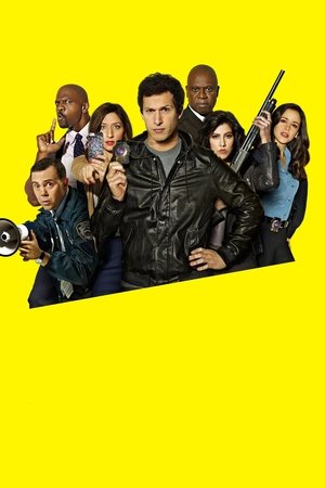 Brooklyn 99 - Nemszázas körzet poszter