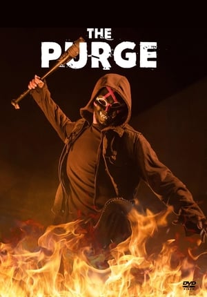 The Purge