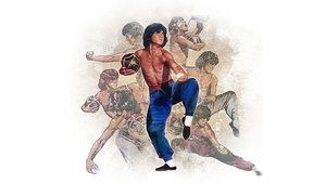 The World of Drunken Master háttérkép