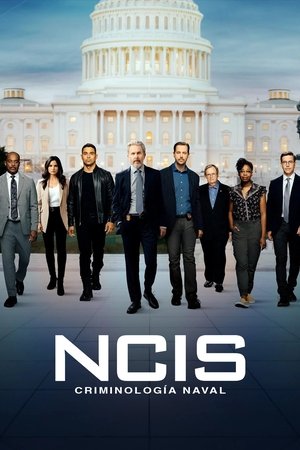 NCIS: Tengerészeti helyszínelők poszter