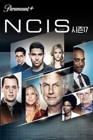 NCIS poszter