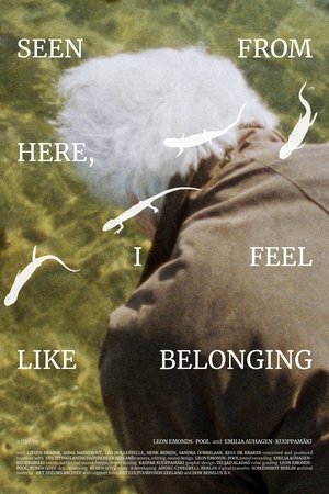 Seen From Here, I Feel Like Belonging poszter