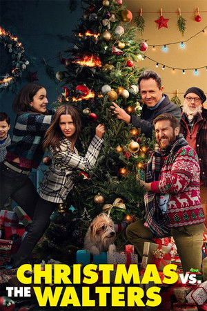 Christmas vs The Walters poszter
