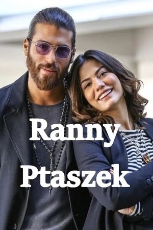 Álmodozó poszter