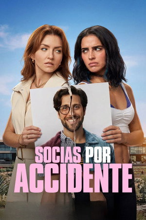 Accidental Partners poszter