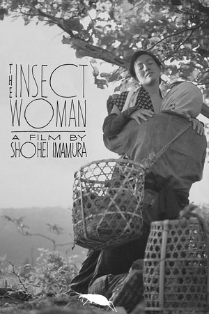 The Insect Woman poszter