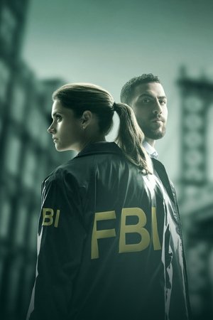 FBI: New York különleges ügynökei poszter