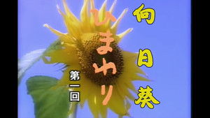 ひまわり kép