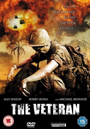A veterán: Kísért a múlt poszter