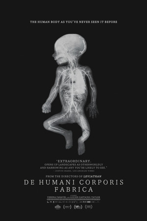 De humani corporis fabrica poszter