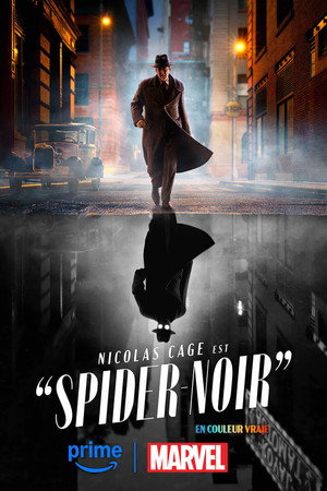 A Pók: Noir poszter