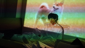 犬、回転して、逃げる háttérkép
