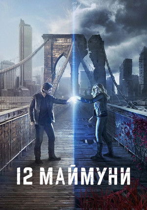 12 majom poszter