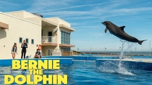 Bernie the Dolphin háttérkép