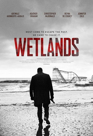 Wetlands poszter