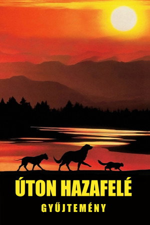 Úton hazafelé filmek