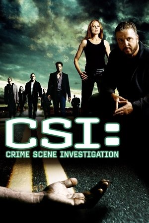 CSI: A helyszínelők poszter
