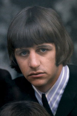 Ringo Starr profil kép