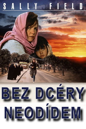 A Lányom nélkül soha poszter