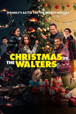 Christmas vs The Walters poszter