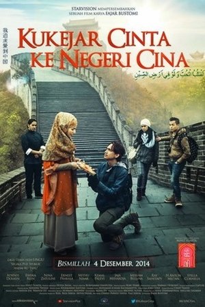 Chasing Love to China poszter