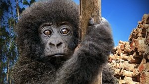 Escape from Extinction: Rewilding háttérkép