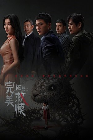 完美的救赎 poszter
