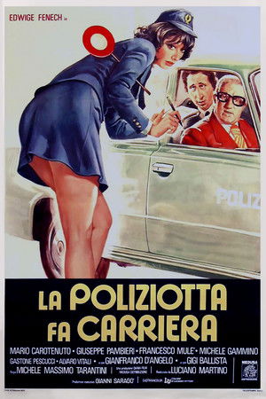 Confessions of a Lady Cop poszter