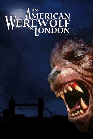 Egy amerikai farkasember Londonban poszter