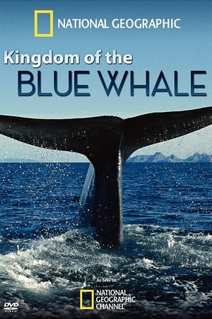 A kék bálnák királysága