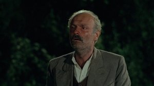 Szent Lőrinc éjszakája háttérkép