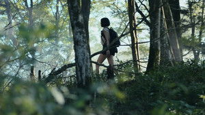 Alice Határországban kép