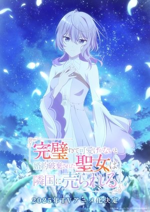 完璧すぎて可愛げがないと婚約破棄された聖女は隣国に売られる poszter