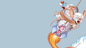 Pinky and the Brain kép