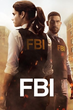 FBI: New York különleges ügynökei poszter