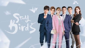 Stray Birds kép