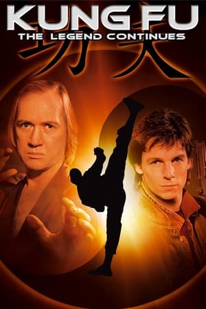 Kung fu: A legenda folytatódik poszter