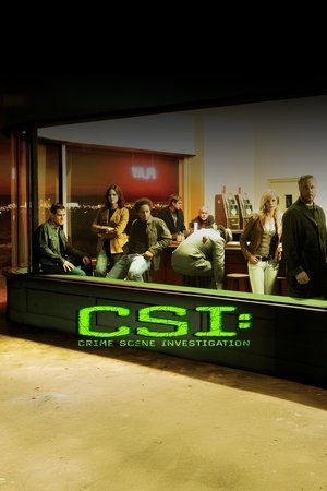 CSI: A helyszínelők poszter